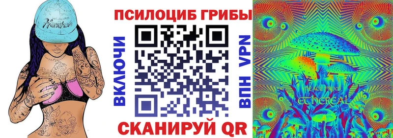 Галлюциногенные грибы Psilocybine cubensis  Бузулук 